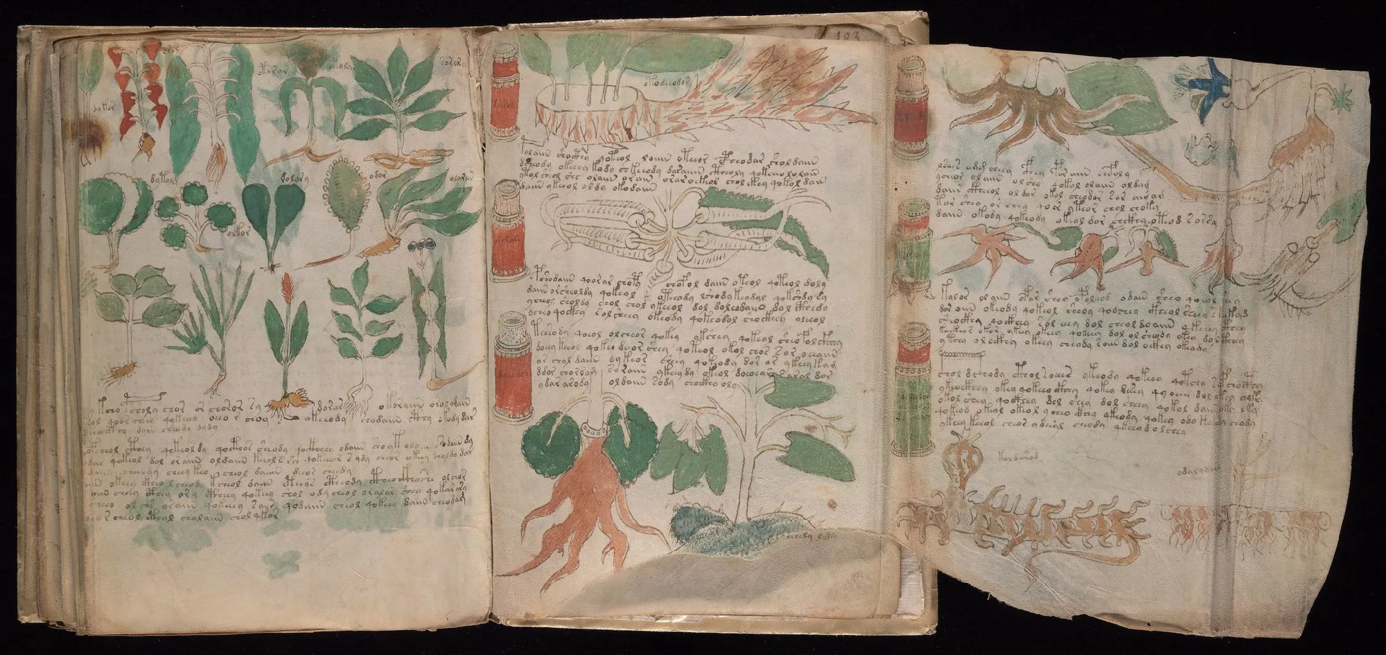 Folio 101v (part) and 102r